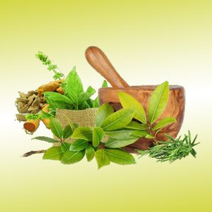 Discover Ayurveda